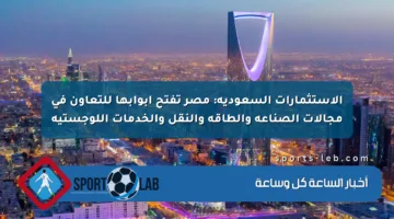 الاستثمارات السعودية: مصر تفتح أبوابها للتعاون في مجالات الصناعة والطاقة والنقل والخدمات اللوجستية